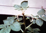 Select an image to enlarge