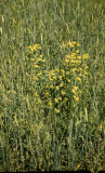 Select an image to enlarge