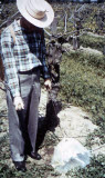 Select an image to enlarge