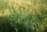Select an image to enlarge