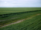 Select an image to enlarge