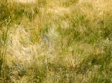 Select an image to enlarge