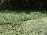 Select an image to enlarge