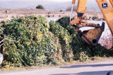 Select an image to enlarge