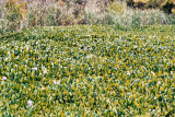Select an image to enlarge