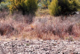 Select an image to enlarge