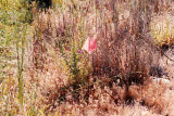 Select an image to enlarge