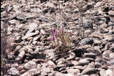 Select an image to enlarge