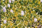 Select an image to enlarge