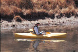 Select an image to enlarge