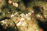 Select an image to enlarge