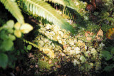 Select an image to enlarge