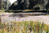Select an image to enlarge