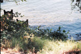 Select an image to enlarge
