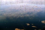 Select an image to enlarge