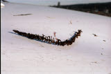 Select an image to enlarge