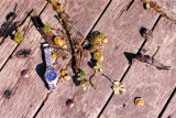 Select an image to enlarge