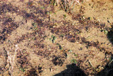 Select an image to enlarge