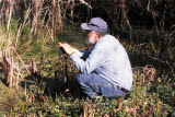 Select an image to enlarge
