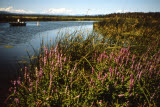 Select an image to enlarge