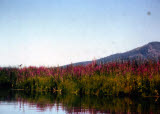 Select an image to enlarge