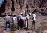 Select an image to enlarge
