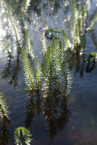 Select an image to enlarge