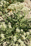 Select an image to enlarge