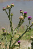 Select an image to enlarge