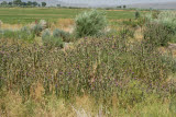 Select an image to enlarge