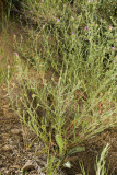 Select an image to enlarge