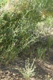 Select an image to enlarge