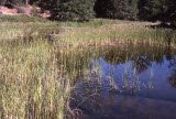 Select an image to enlarge