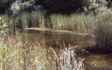 Select an image to enlarge