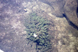 Select an image to enlarge