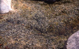 Select an image to enlarge