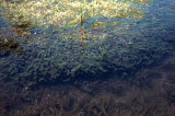 Select an image to enlarge