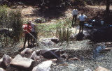 Select an image to enlarge
