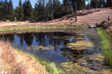 Select an image to enlarge