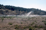Select an image to enlarge