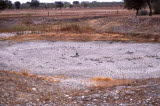 Select an image to enlarge