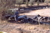 Select an image to enlarge