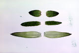 Select an image to enlarge