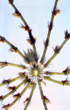 Select an image to enlarge