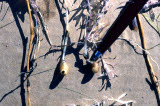 Select an image to enlarge