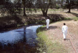 Select an image to enlarge