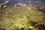 Select an image to enlarge