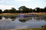 Select an image to enlarge