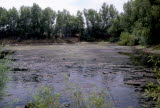 Select an image to enlarge