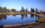 Select an image to enlarge